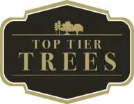 Top-Tier-Trees-logo-sm