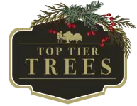 Top-Tier-Trees-festive-logo-small